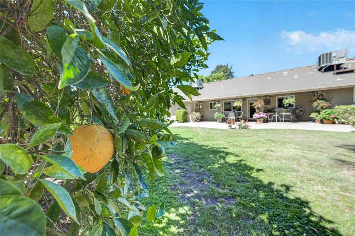 3317 W Alluvial Ave, Fresno, CA 93711