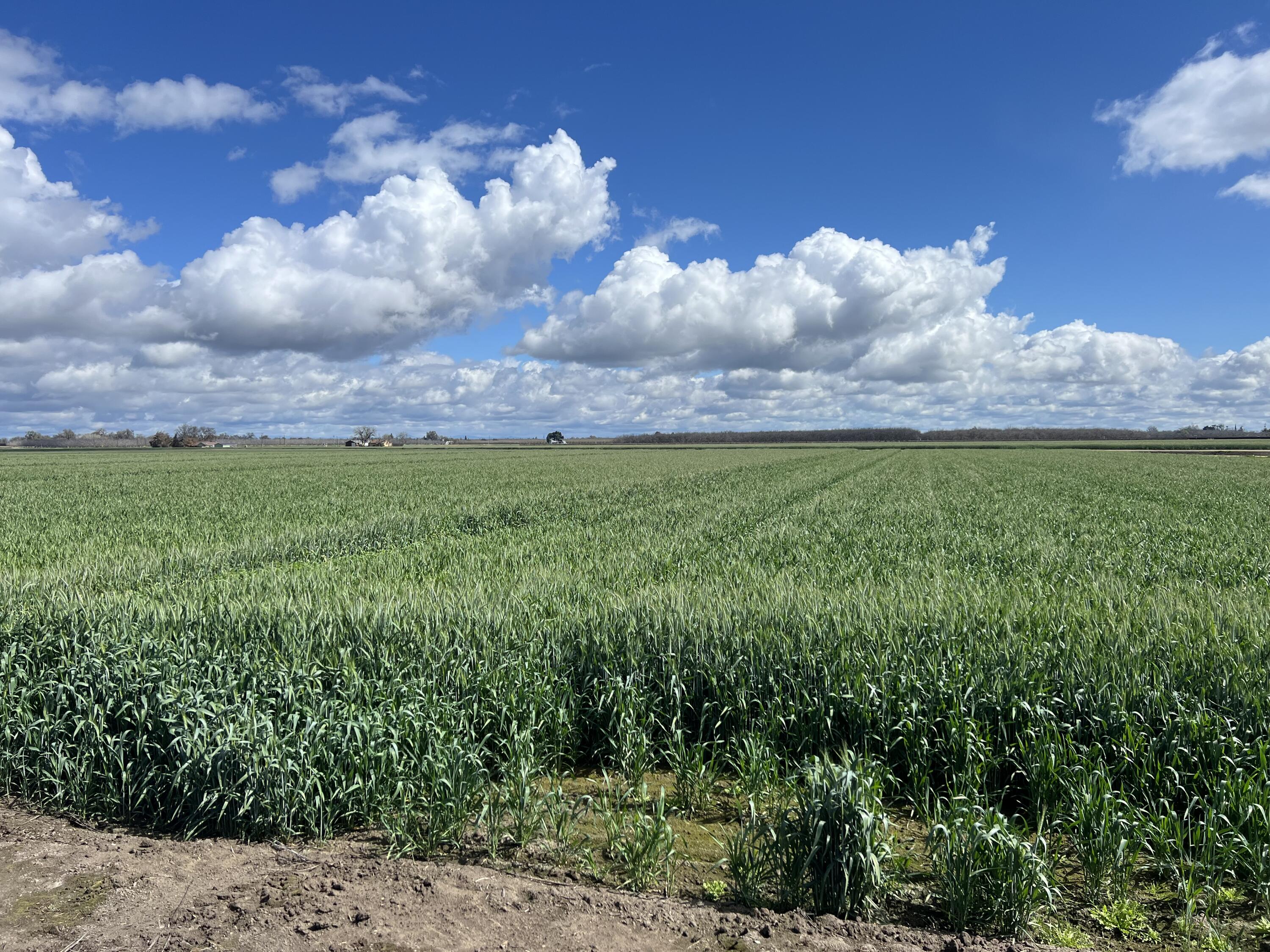 15400 Excelsior Ave, Hanford, CA 93230